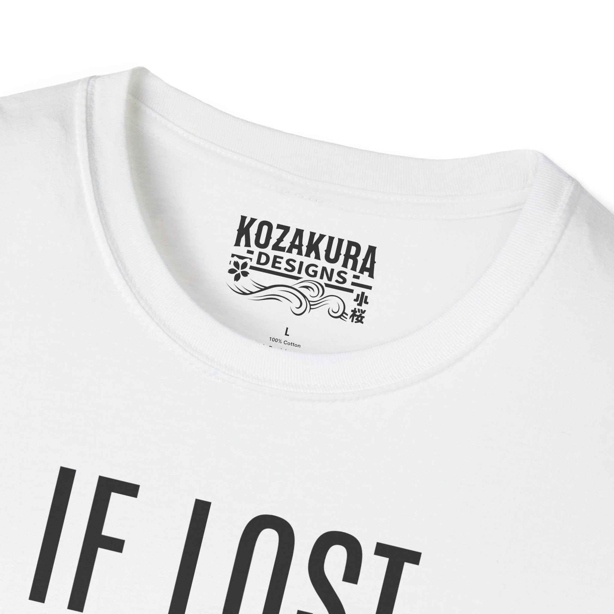 If Lost Return to Japan